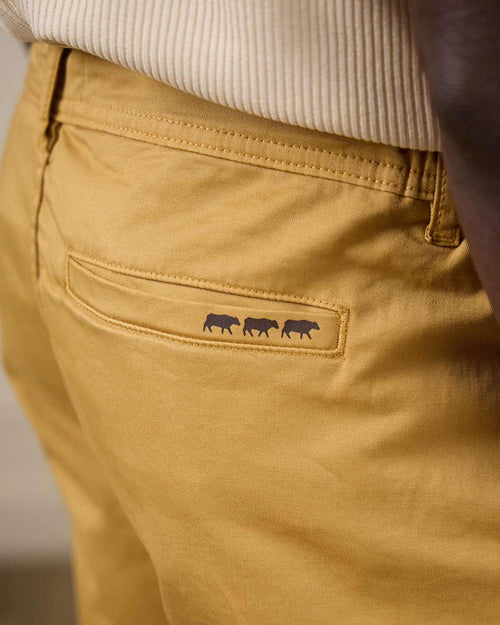 Bermuda chino Daniel - MISE AU GREEN - 6