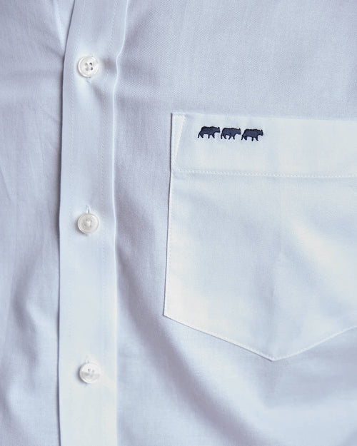 Chemise Eliott Oxford - MISE AU GREEN - 3