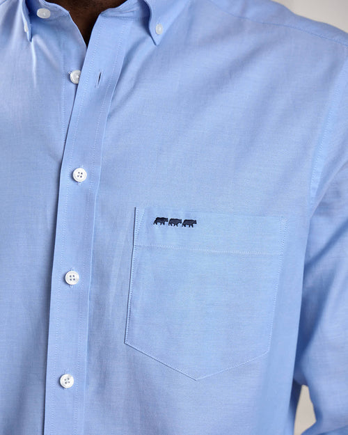 Chemise Eliott Oxford - MISE AU GREEN - 3