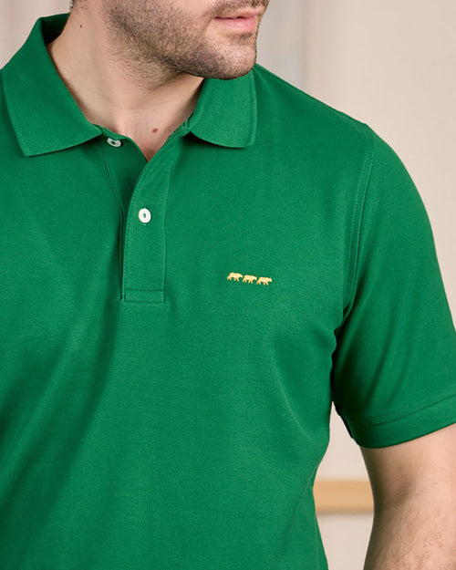 Polo Collin - MISE AU GREEN - 3