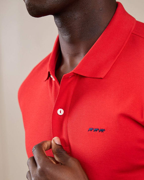 Polo Collin - MISE AU GREEN - 6