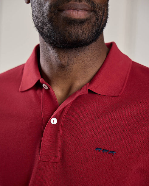 Polo Collin - MISE AU GREEN - 2