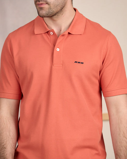 Polo Collin - MISE AU GREEN - 3