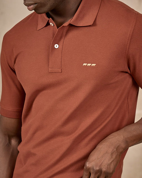 Polo Collin - MISE AU GREEN - 4