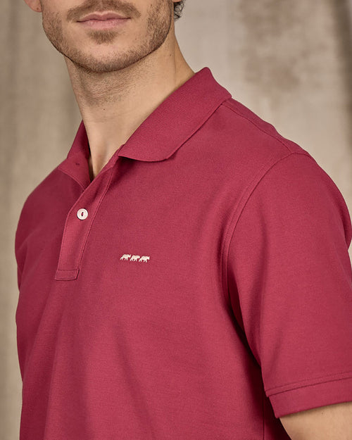 Polo Collin - MISE AU GREEN - 4