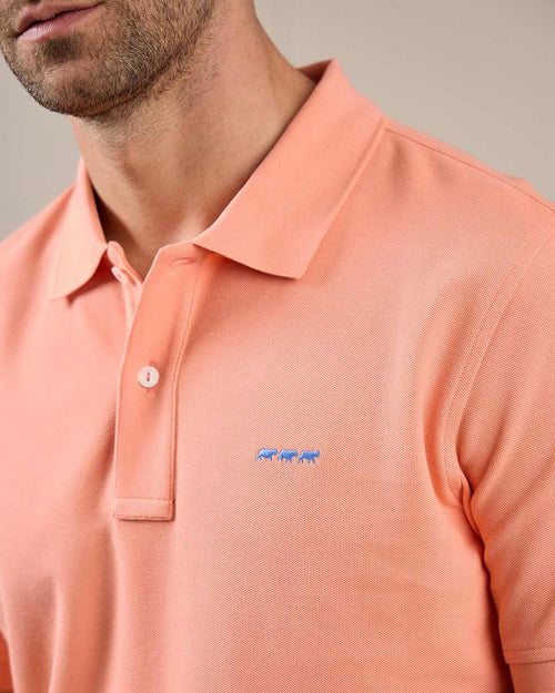 Polo Collin - MISE AU GREEN - 2