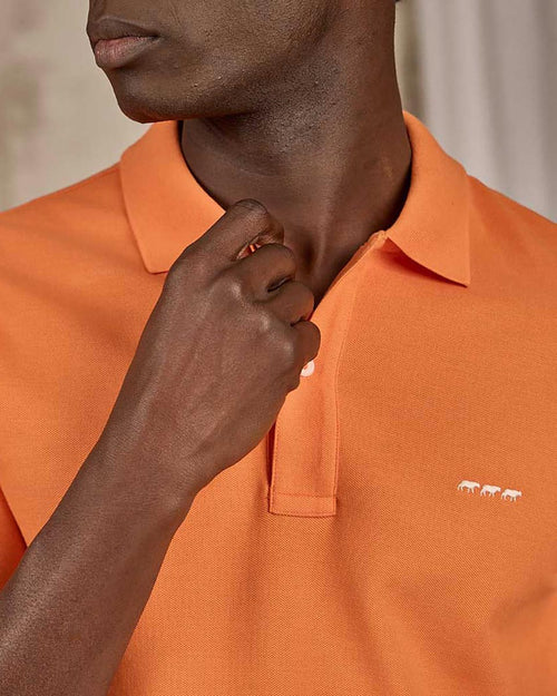 Polo Collin - MISE AU GREEN - 1