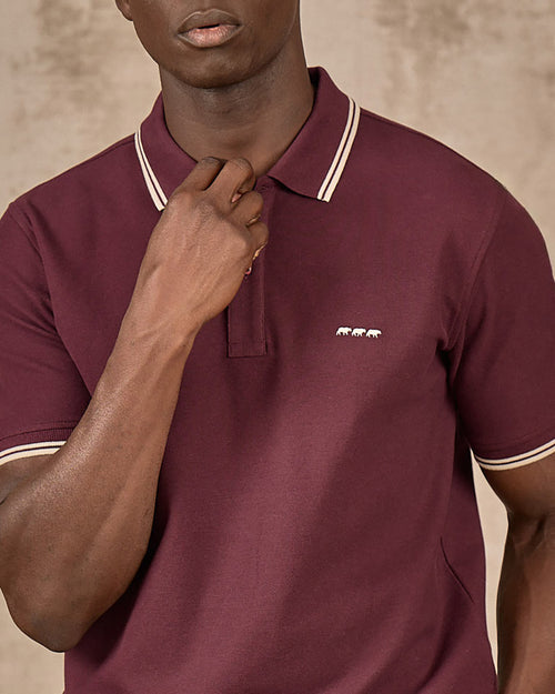 Polo Emeric - MISE AU GREEN - 6