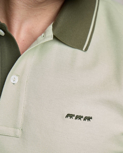 Polo Émilio - MISE AU GREEN - 5
