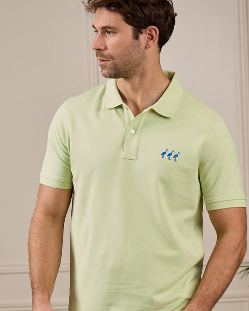 Polo cigognes - MISE AU GREEN - 2