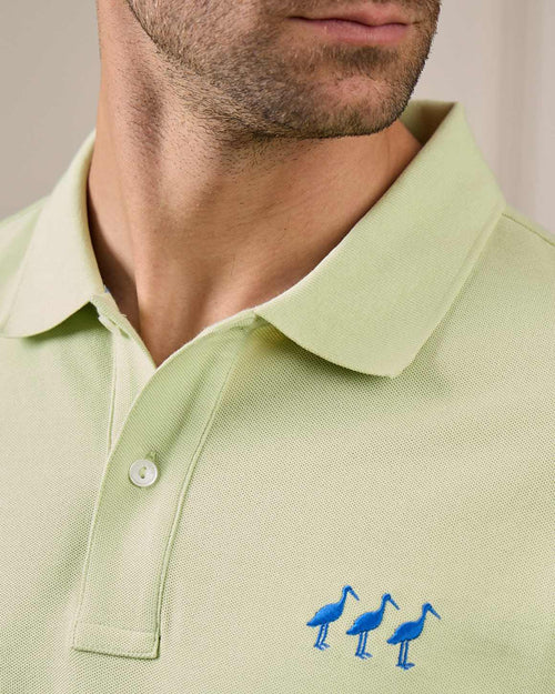 Polo cigognes - MISE AU GREEN - 3