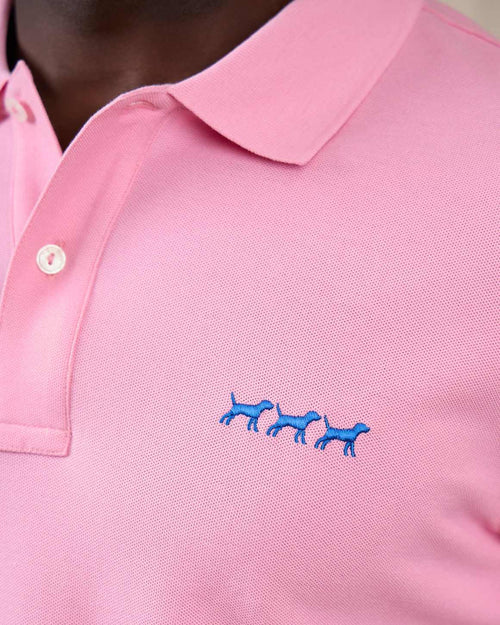 Polo chiens - MISE AU GREEN - 2