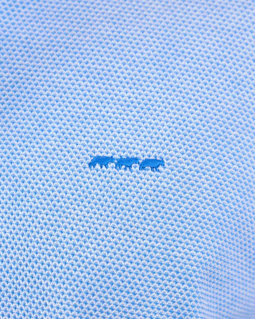 Polo Gianni - MISE AU GREEN - 7