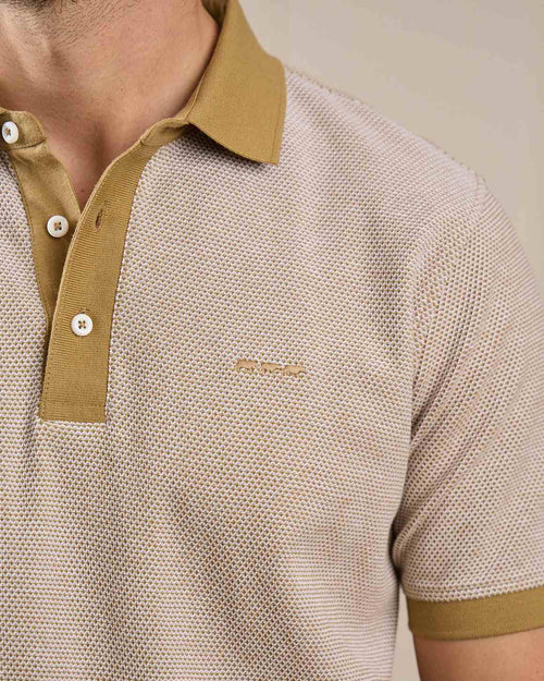 Polo Gianni - MISE AU GREEN - 2