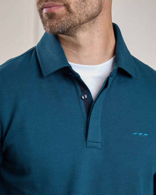 Polo Hachil - MISE AU GREEN - 2