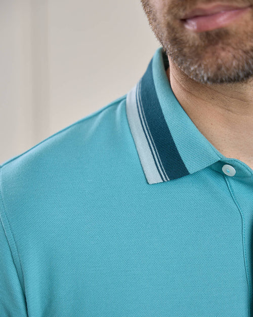 Polo Hervin - MISE AU GREEN - 7