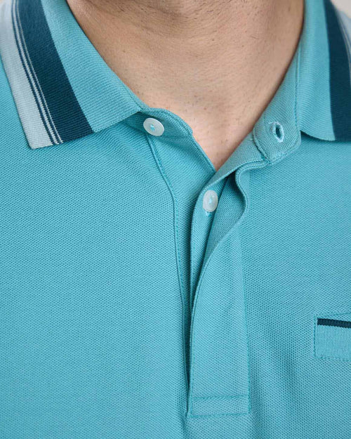 Polo Hervin - MISE AU GREEN - 2