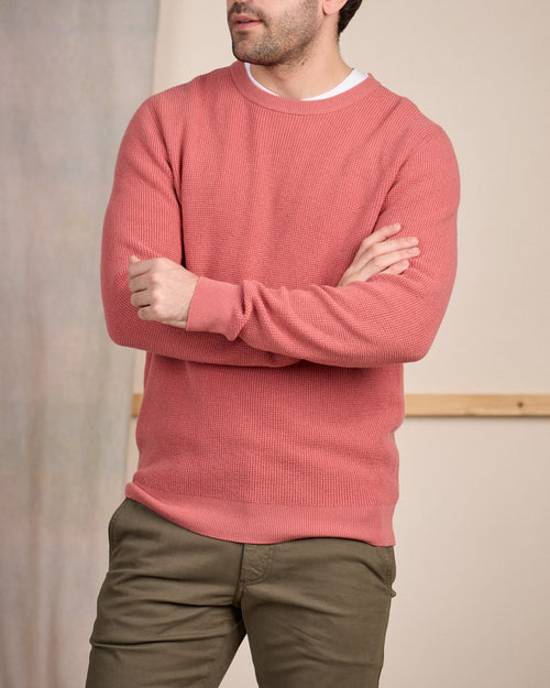 Pull Castor - MISE AU GREEN - 1