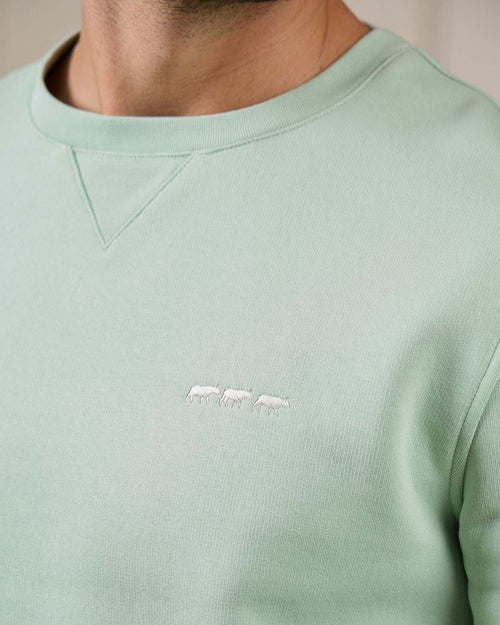 Sweat col rond - MISE AU GREEN - 7