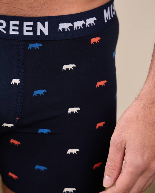 Boxer Adriel - MISE AU GREEN - 1