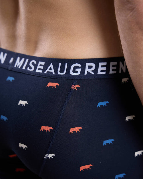 Boxer Adriel - MISE AU GREEN - 4