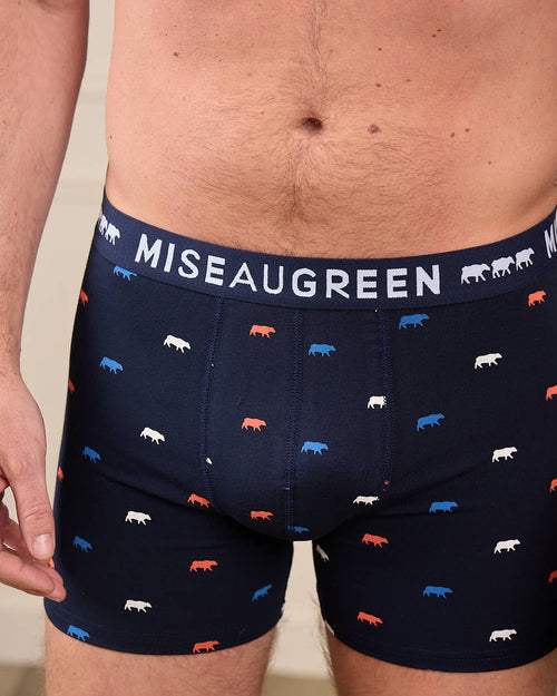 Boxer Adriel - MISE AU GREEN - 4