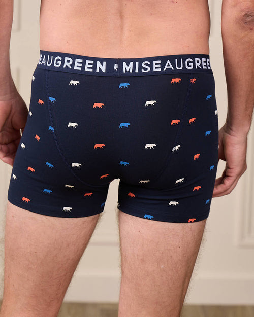 Boxer Adriel - MISE AU GREEN - 5