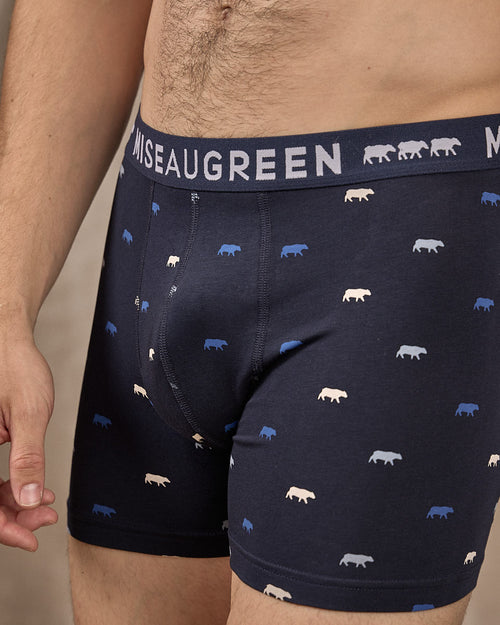 Boxer Adriel - MISE AU GREEN - 2