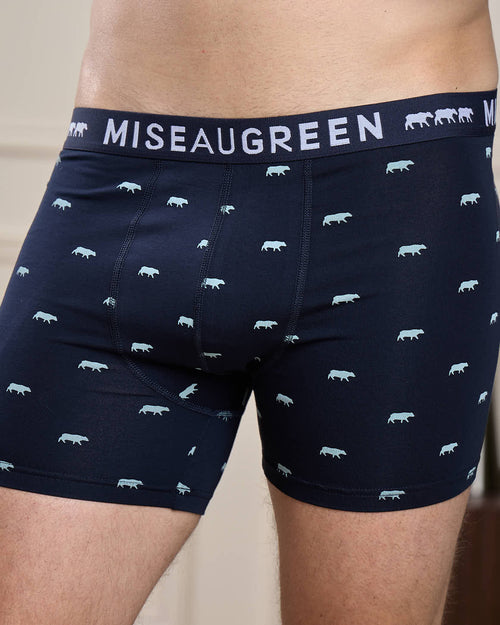 Boxer Adriel - MISE AU GREEN - 2