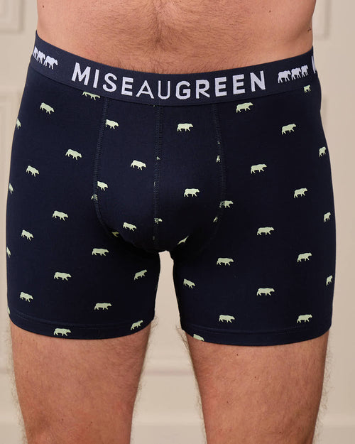 Boxer Adriel - MISE AU GREEN - 1
