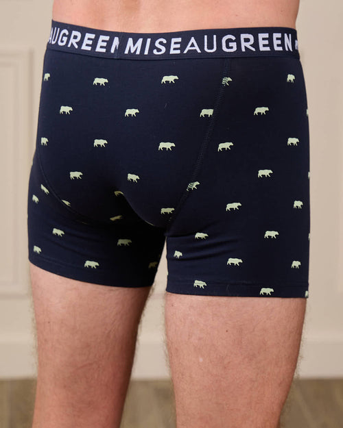 Boxer Adriel - MISE AU GREEN - 5