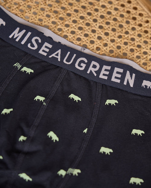 Boxer Adriel - MISE AU GREEN - 1