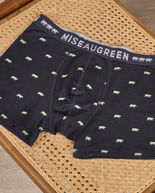 Boxer Adriel - MISE AU GREEN - 2