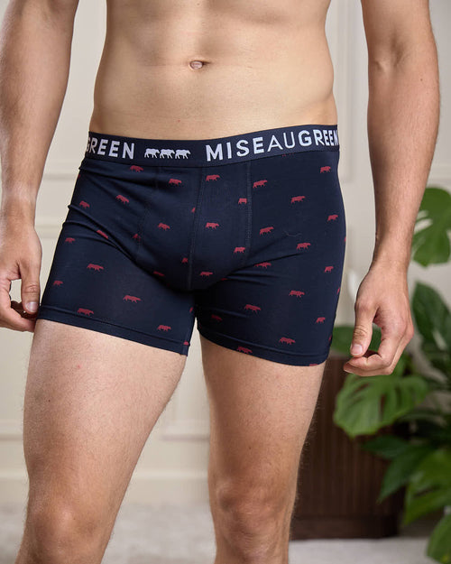 Boxer Adriel - MISE AU GREEN - 1