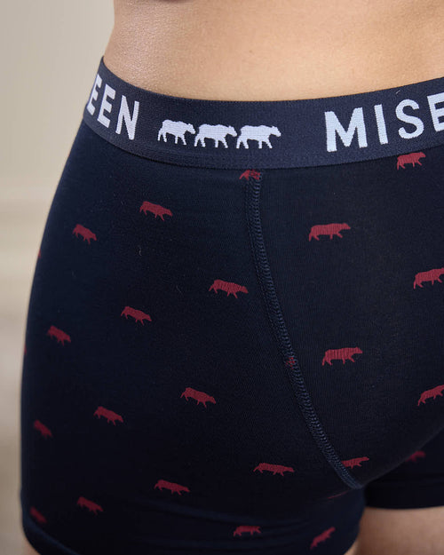 Boxer Adriel - MISE AU GREEN - 4