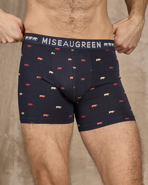 Boxer Adriel - MISE AU GREEN - 2