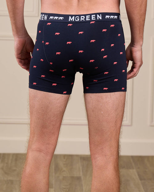 Boxer Adriel - MISE AU GREEN - 6