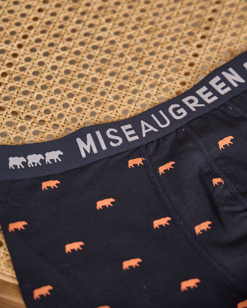 Boxer Adriel - MISE AU GREEN - 4