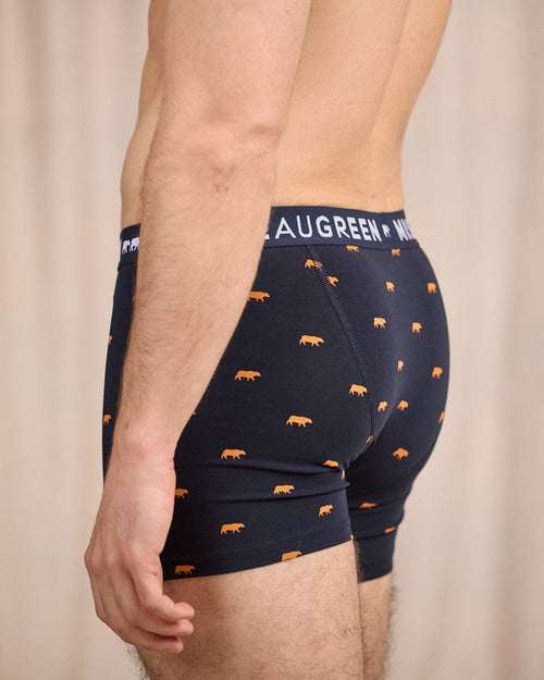 Boxer Adriel - MISE AU GREEN - 3