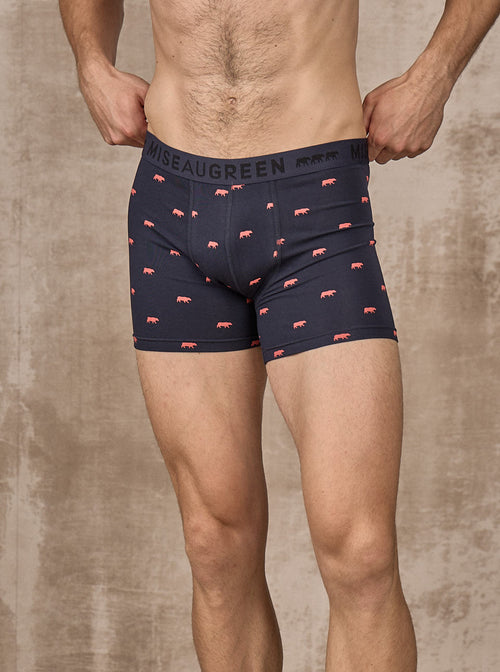 Boxer Adriel - MISE AU GREEN - 2