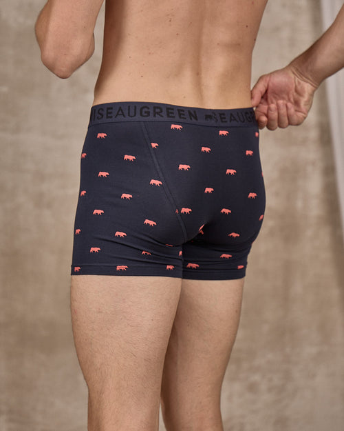 Boxer Adriel - MISE AU GREEN - 3