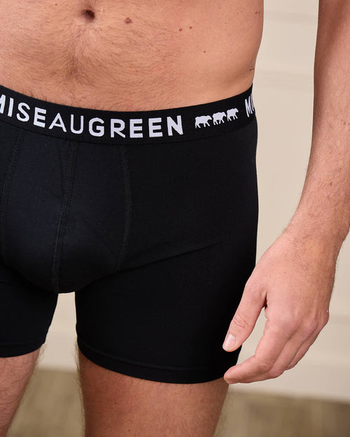 Boxer Adrien - MISE AU GREEN - 4