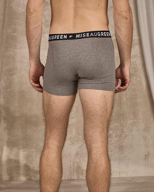 Boxer Adrien - MISE AU GREEN - 3