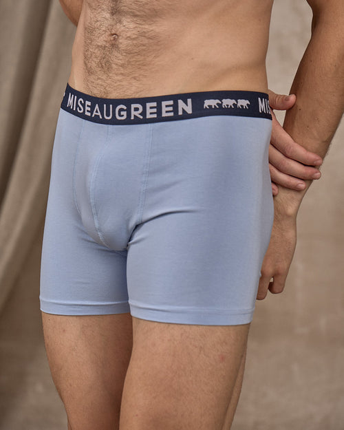 Boxer Adrien - MISE AU GREEN - 2