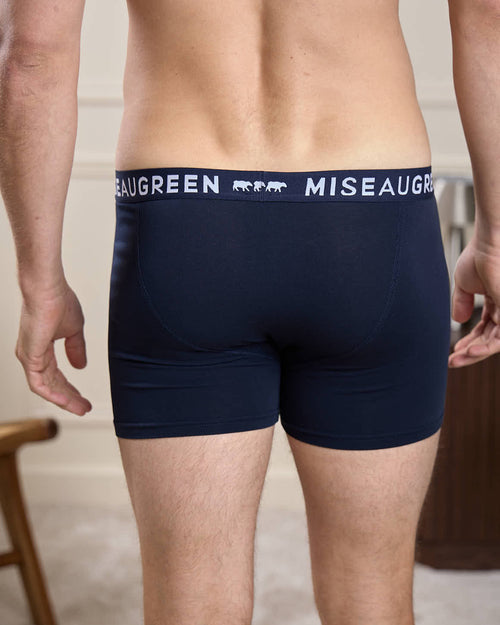 Boxer Adrien - MISE AU GREEN - 3