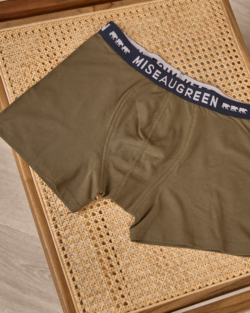 Boxer Adrien - MISE AU GREEN - 1