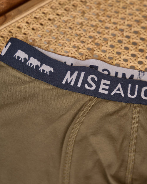 Boxer Adrien - MISE AU GREEN - 2