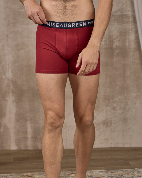 Boxer Adrien - MISE AU GREEN - 2