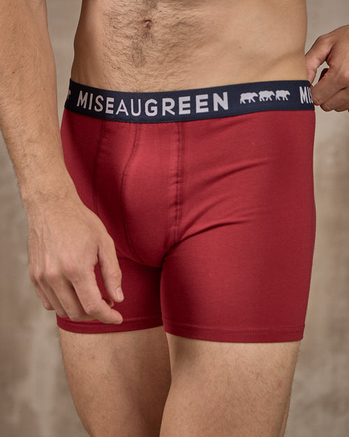 Boxer Adrien - MISE AU GREEN - 3