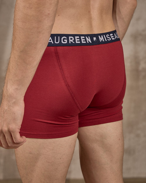 Boxer Adrien - MISE AU GREEN - 4